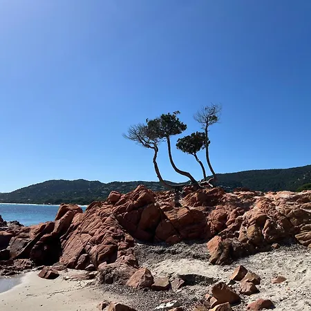 Location T2 44 M2 Proche 82 Lecci