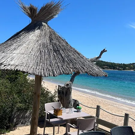 Location T2 44 M2 Proche 82 *