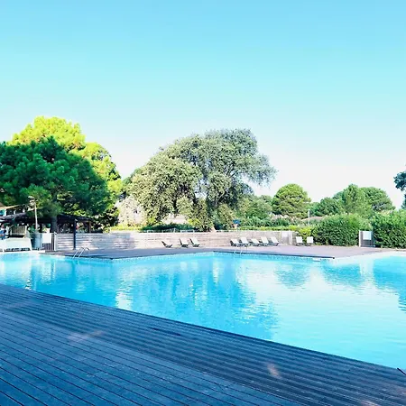Location T2 44 M2 Proche 82 Lecci