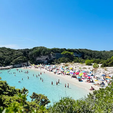 Location T2 44 M2 Proche 82