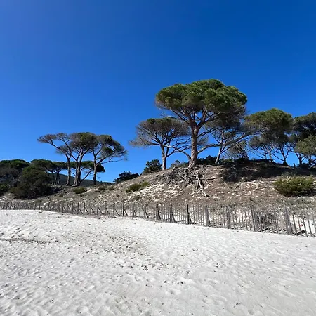 Location T2 44 M2 Proche 82 Apartament *