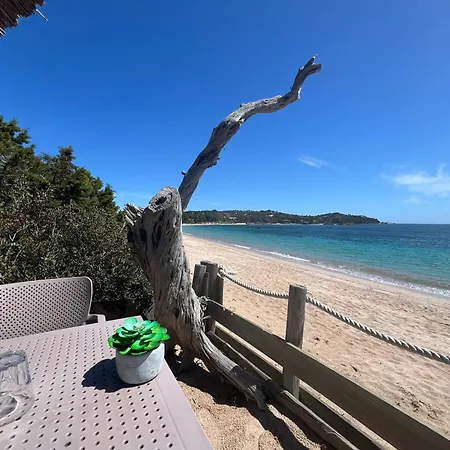 Location T2 44 M2 Proche 82 Lejlighed Lecci