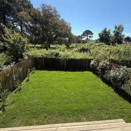 Location T2 44 M2 Proche 82