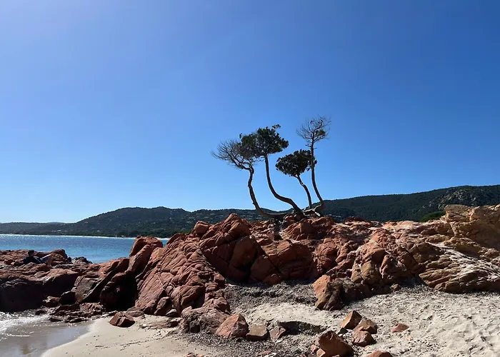 Location T2 44 M2 Proche 82 Lecci