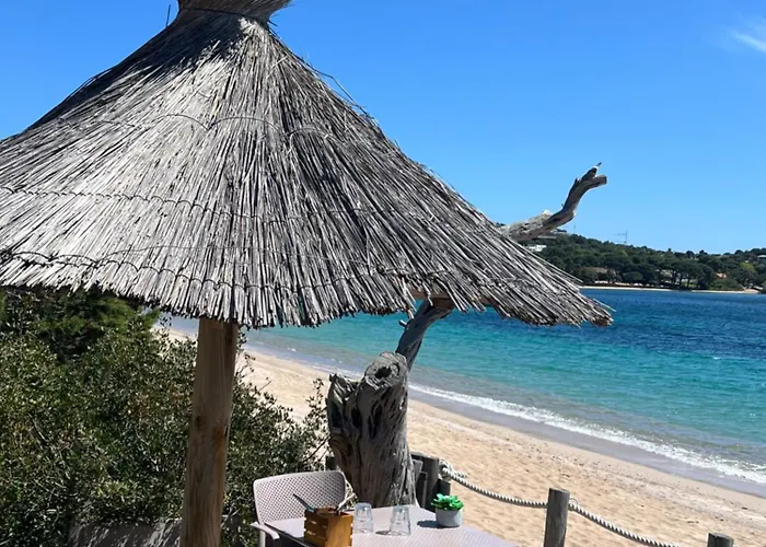 Location T2 44 M2 Proche 82 *