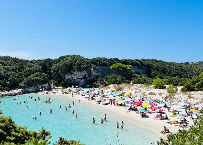 Location T2 44 M2 Proche 82