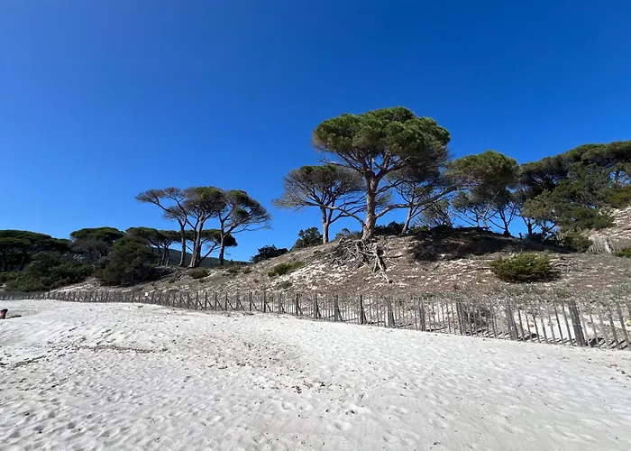 Location T2 44 M2 Proche 82 Apartman *