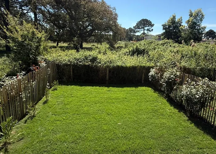 Location T2 44 M2 Proche 82